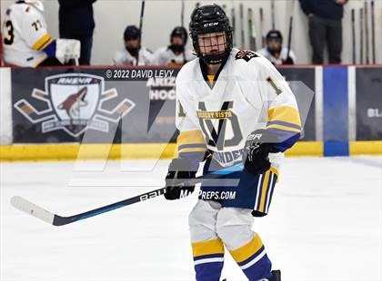 Thumbnail 3 in D2 Tucson Roadrunners vs. D2 Desert Vista photogallery.