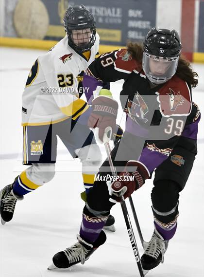 Thumbnail 2 in D2 Tucson Roadrunners vs. D2 Desert Vista photogallery.