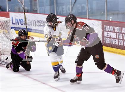 Thumbnail 1 in D2 Tucson Roadrunners vs. D2 Desert Vista photogallery.