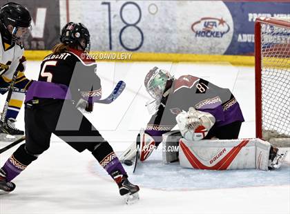 Thumbnail 3 in D2 Tucson Roadrunners vs. D2 Desert Vista photogallery.
