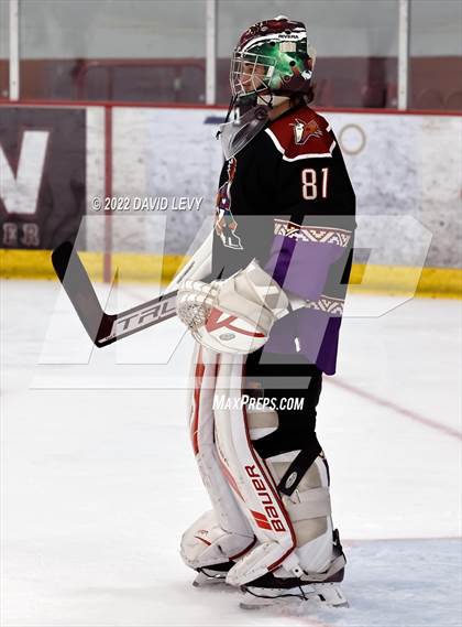 Thumbnail 1 in D2 Tucson Roadrunners vs. D2 Desert Vista photogallery.