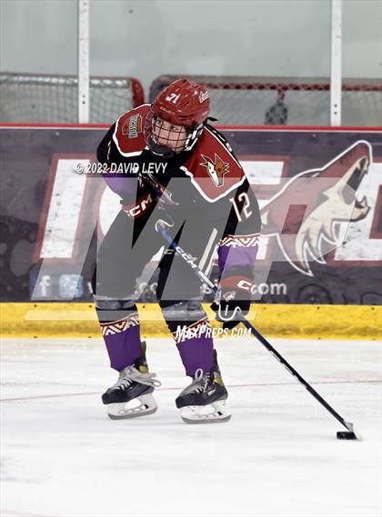 Thumbnail 1 in D2 Tucson Roadrunners vs. D2 Desert Vista photogallery.