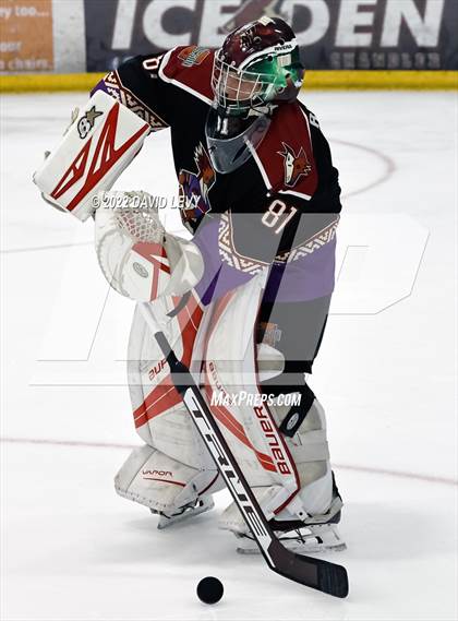 Thumbnail 1 in D2 Tucson Roadrunners vs. D2 Desert Vista photogallery.