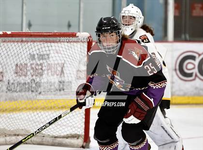 Thumbnail 3 in D2 Tucson Roadrunners vs. D2 Desert Vista photogallery.