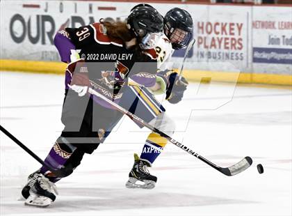 Thumbnail 1 in D2 Tucson Roadrunners vs. D2 Desert Vista photogallery.
