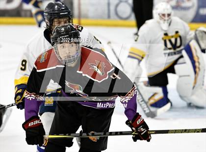 Thumbnail 3 in D2 Tucson Roadrunners vs. D2 Desert Vista photogallery.