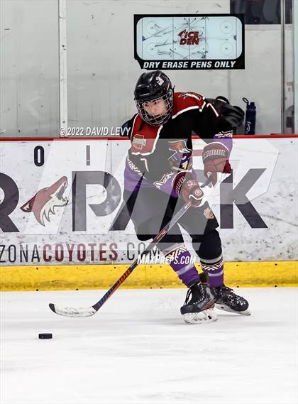 Thumbnail 2 in D2 Tucson Roadrunners vs. D2 Desert Vista photogallery.