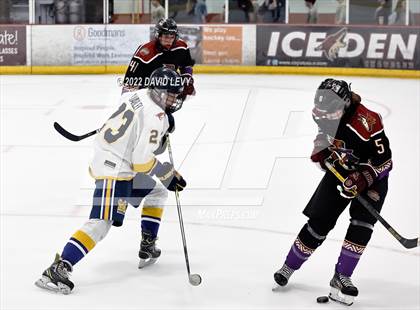 Thumbnail 1 in D2 Tucson Roadrunners vs. D2 Desert Vista photogallery.