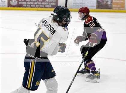 Thumbnail 1 in D2 Tucson Roadrunners vs. D2 Desert Vista photogallery.
