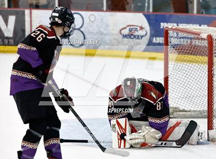 Thumbnail 1 in D2 Tucson Roadrunners vs. D2 Desert Vista photogallery.
