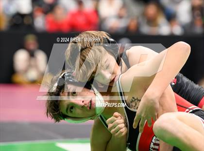 Thumbnail 2 in CHSAA State Championship - 4A Semifinals photogallery.