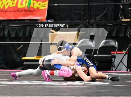 Thumbnail 2 in CHSAA State Championship - 4A Semifinals photogallery.