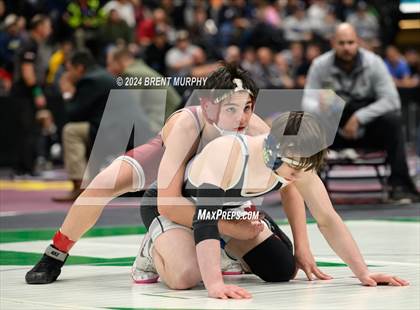 Thumbnail 3 in CHSAA State Championship - 4A Semifinals photogallery.
