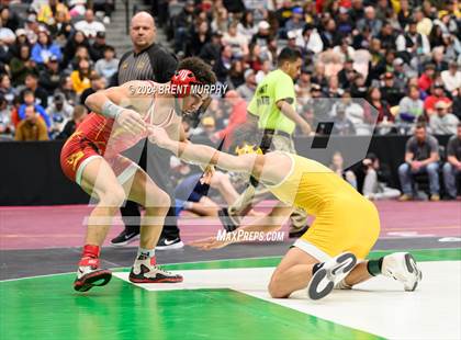 Thumbnail 2 in CHSAA State Championship - 4A Semifinals photogallery.