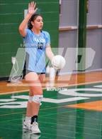 Photo from the gallery "Gila Ridge @ Sunnyslope"