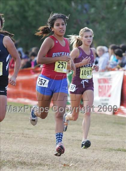 Thumbnail 1 in CIF State Cross Country Championships (D1 Girls) photogallery.