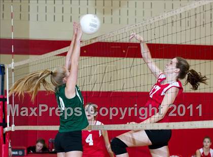 Thumbnail 2 in Brewster @ Somers photogallery.