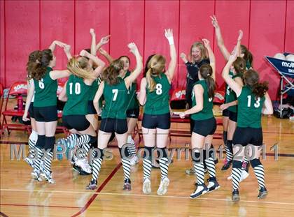 Thumbnail 3 in Brewster @ Somers photogallery.