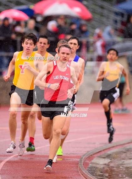 Thumbnail 1 in  CIF Northern Section Masters Track and Field Finals photogallery.