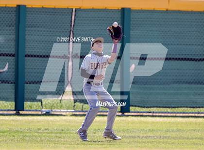 Thumbnail 1 in Burges @ Andress photogallery.