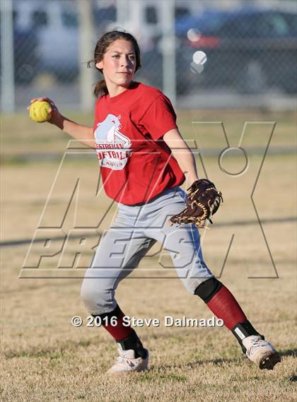Thumbnail 1 in Destrehan @ Mt. Carmel photogallery.