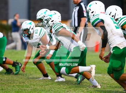 Thumbnail 3 in Pearsall @ Holy Cross photogallery.