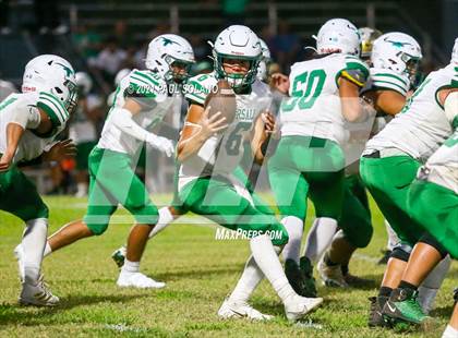 Thumbnail 1 in Pearsall @ Holy Cross photogallery.