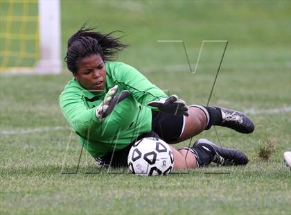 Thumbnail 2 in Wayne @ Mendon (Pittsford) photogallery.