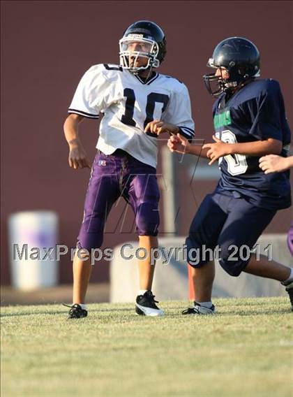 Thumbnail 2 in Woodgrove @ Potomac Falls photogallery.