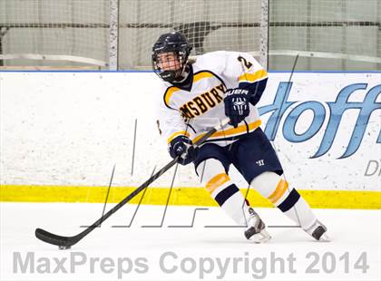Thumbnail 3 in Notre Dame-Fairfield @ Simsbury photogallery.