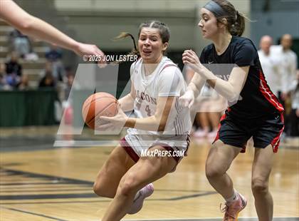 Thumbnail 1 in Albertus Magnus vs. Lancaster (NYSPHSAA Class AAA State Semi-Final) photogallery.