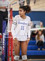 Photo from the gallery "San Marin @ Tamalpais"