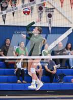 Photo from the gallery "San Marin @ Tamalpais"