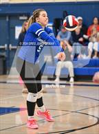 Photo from the gallery "San Marin @ Tamalpais"