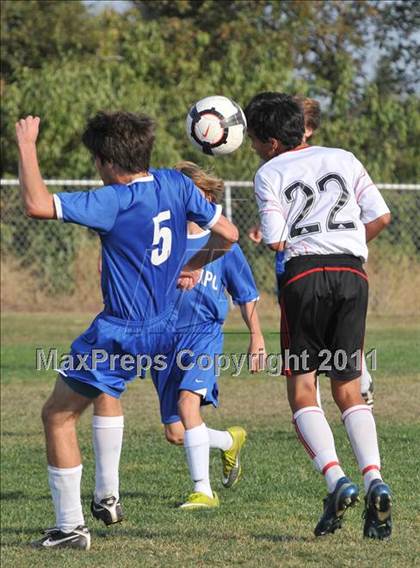 Thumbnail 1 in Del Campo @ Bella Vista photogallery.