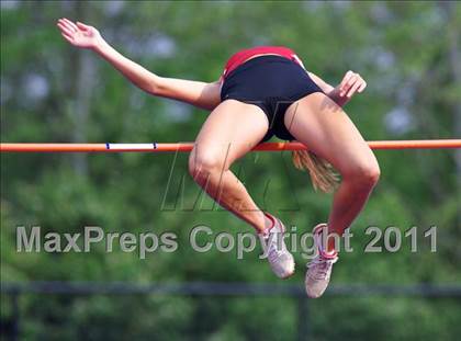 Thumbnail 1 in FAVC Conference Meet  photogallery.