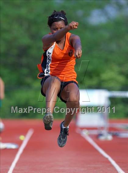 Thumbnail 1 in FAVC Conference Meet  photogallery.