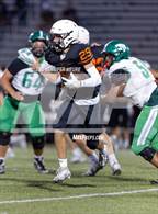 Photo from the gallery "Novi @ Brighton"