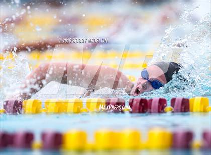 Thumbnail 2 in CIF State Swim and Dive Championships photogallery.