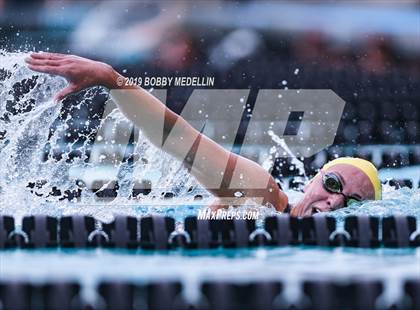 Thumbnail 3 in CIF State Swim and Dive Championships photogallery.