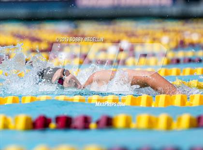 Thumbnail 3 in CIF State Swim and Dive Championships photogallery.