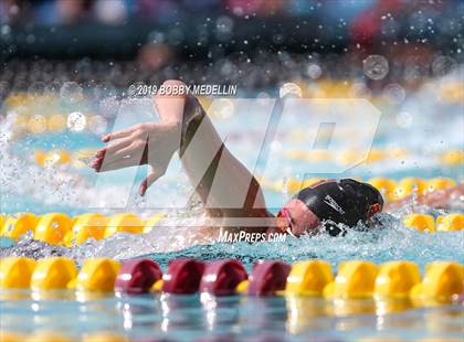Thumbnail 3 in CIF State Swim and Dive Championships photogallery.