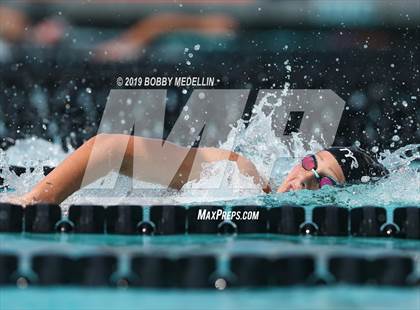 Thumbnail 1 in CIF State Swim and Dive Championships photogallery.