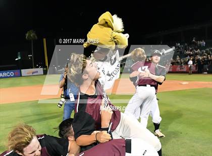 Thumbnail 3 in Pinnacle vs. Hamilton  (AIA 6A Final Awards Photos) photogallery.