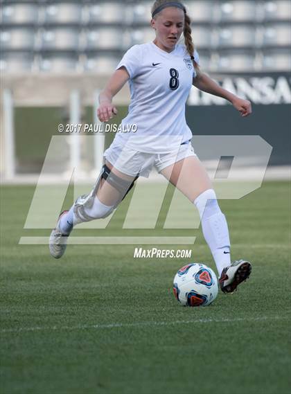 Thumbnail 1 in D'Evelyn vs. Evergreen (CHSAA 4A Final) photogallery.