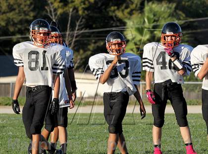 Thumbnail 2 in Vacaville @ Will C. Wood photogallery.