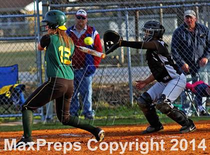 Thumbnail 2 in White Oak @ Havelock photogallery.