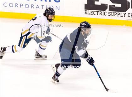 Thumbnail 3 in St. Mary's vs. Framingham (MIAA Division 1 Final) photogallery.