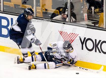 Thumbnail 2 in St. Mary's vs. Framingham (MIAA Division 1 Final) photogallery.