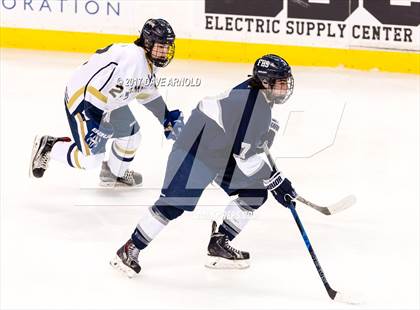 Thumbnail 1 in St. Mary's vs. Framingham (MIAA Division 1 Final) photogallery.